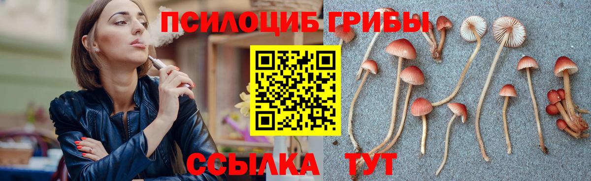 Псилоцибиновые грибы GOLDEN TEACHER Семёнов