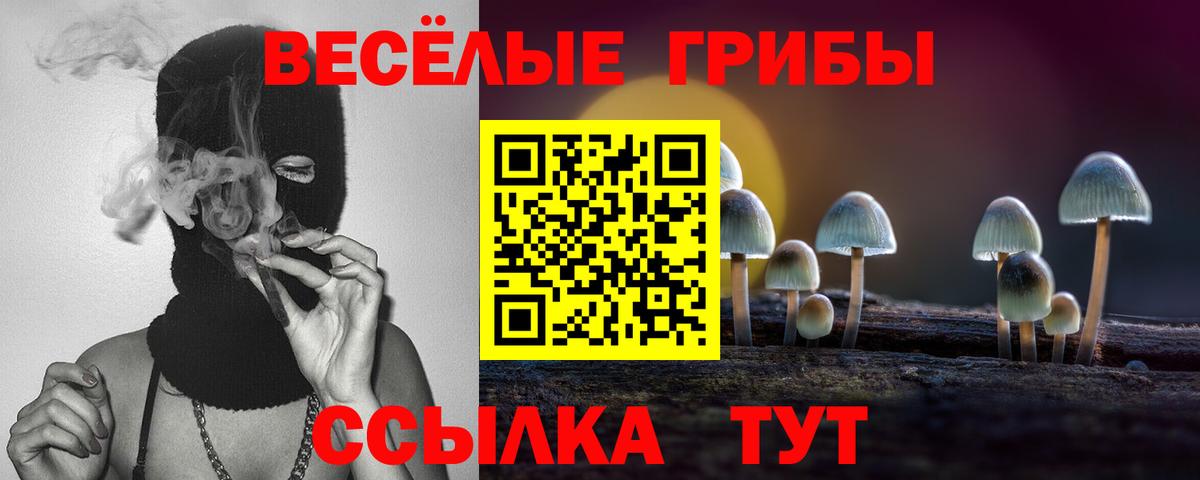 Галлюциногенные грибы ЛСД  Вход с VPN  Семёнов  Галлюциногенные грибы Psilocybine cubensis 